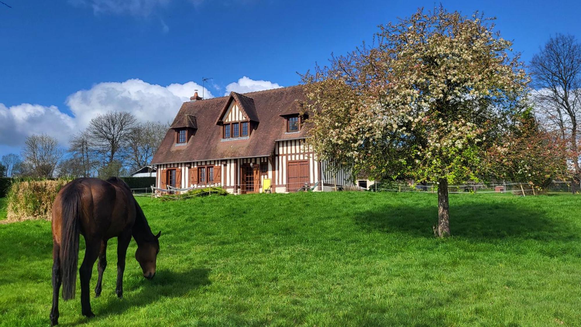 Relais Equestre Du Miloir - Chambres D'Hotes Saint-Desir Exterior photo